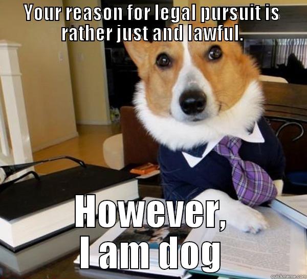 Why yes sir... - YOUR REASON FOR LEGAL PURSUIT IS RATHER JUST AND LAWFUL. HOWEVER, I AM DOG Lawyer Dog