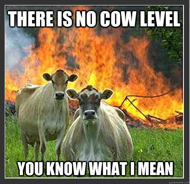 There is no cow level you know what ı mean  Evil cows