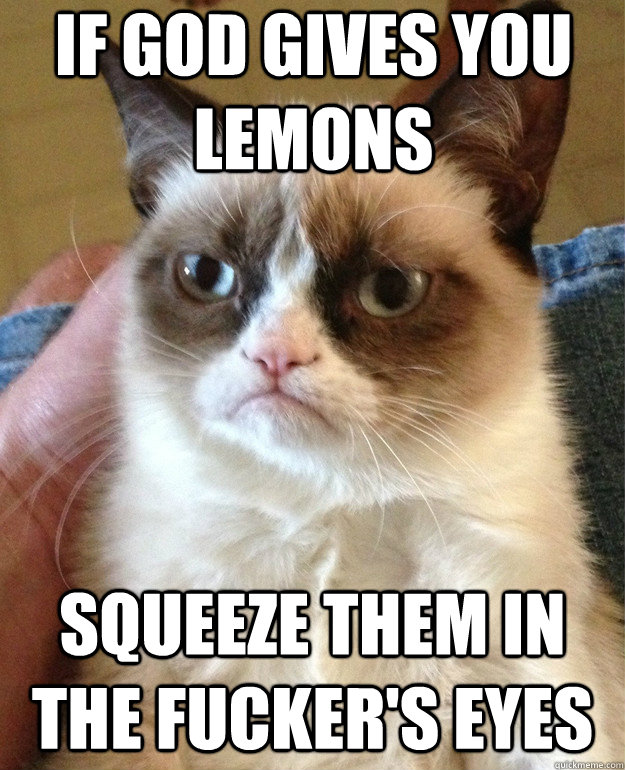 if god gives you lemons squeeze them in the fucker's eyes  Grumpy Cat