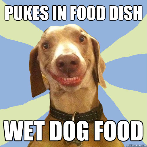 pukes in food dish WET DOG FOOD - pukes in food dish WET DOG FOOD  Disgusting Doggy