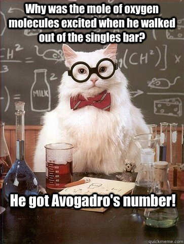 Why was the mole of oxygen molecules excited when he walked out of the singles bar? He got Avogadro's number!  Chemistry Cat