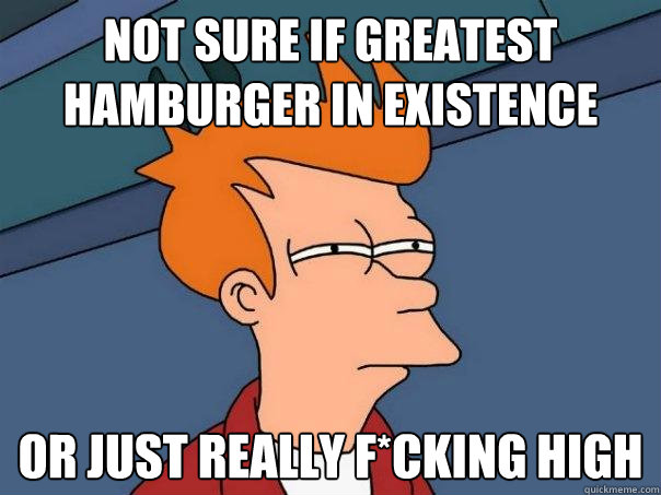 Not sure if greatest hamburger in existence Or just really f*cking high  Futurama Fry