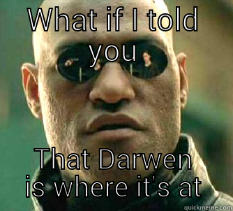 WHAT IF I TOLD YOU THAT DARWEN IS WHERE IT'S AT Matrix Morpheus