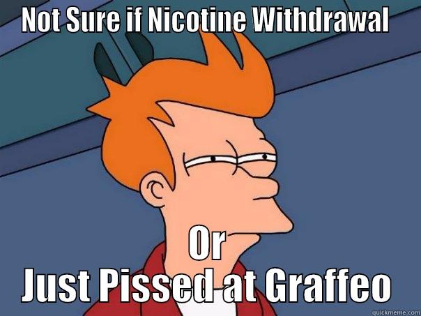 NOT SURE IF NICOTINE WITHDRAWAL  OR JUST PISSED AT GRAFFEO Futurama Fry