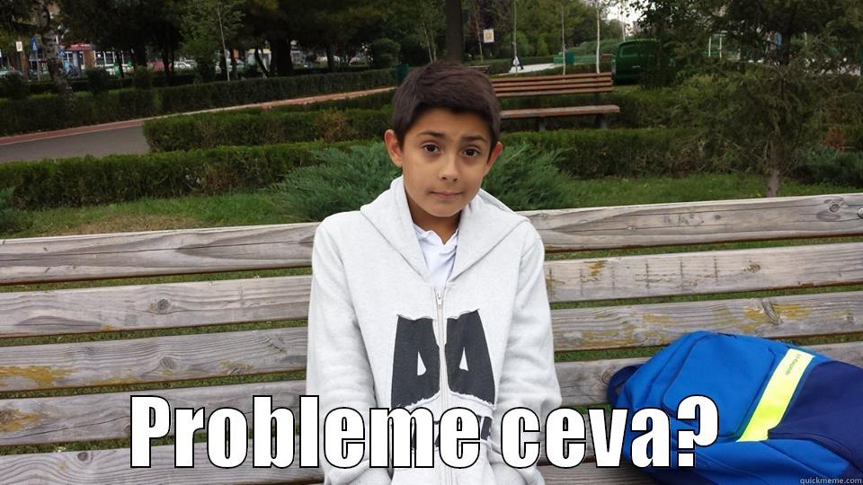  PROBLEME CEVA? Misc