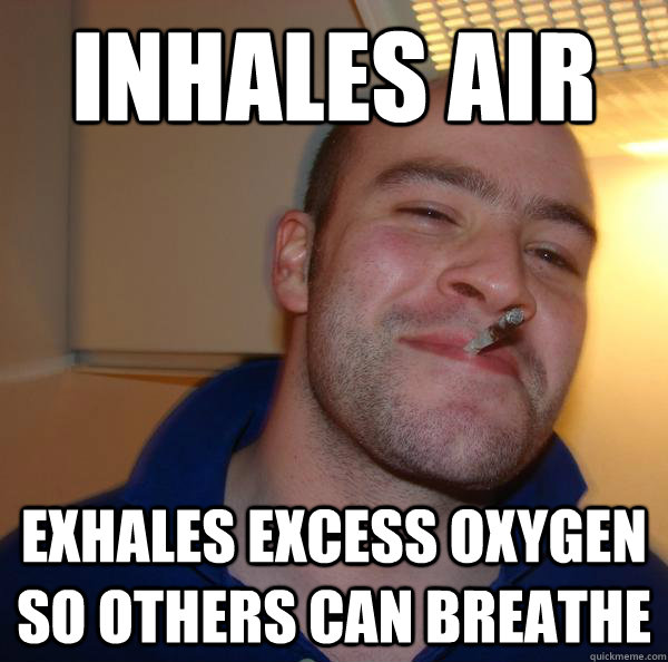 Inhales Air  Exhales excess oxygen so others can breathe - Inhales Air  Exhales excess oxygen so others can breathe  Misc