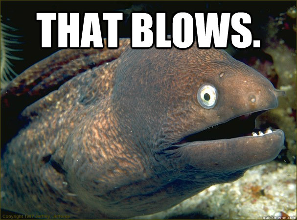 That blows.  Bad Joke Eel