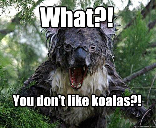 What?! You don't like koalas?!  Angry Koala