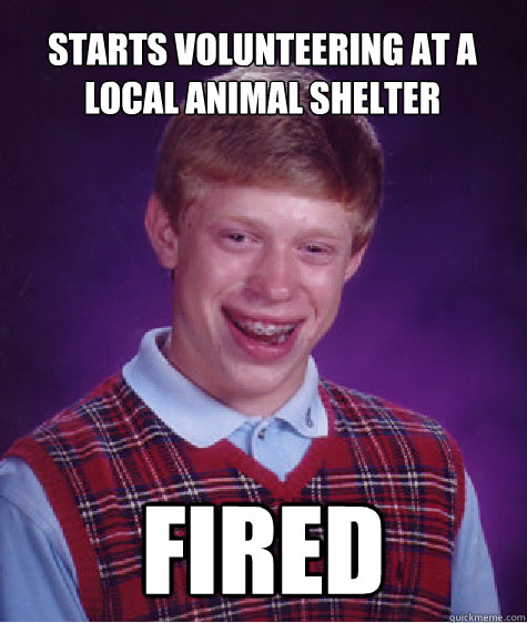 Starts volunteering at a local animal shelter Fired - Starts volunteering at a local animal shelter Fired  Bad Luck Brian