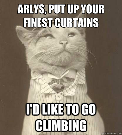 Arlys, put up your 
finest curtains I'd like to go climbing  Aristocat