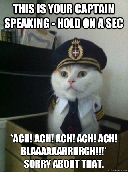 this is your captain speaking - hold on a sec *ach! ach! ach! ach! ach! blaaaaaarrrrgh!!!*
sorry about that. - this is your captain speaking - hold on a sec *ach! ach! ach! ach! ach! blaaaaaarrrrgh!!!*
sorry about that.  Captain kitteh