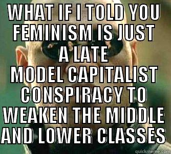 WHAT IF I TOLD YOU FEMINISM IS JUST A LATE MODEL CAPITALIST CONSPIRACY TO WEAKEN THE MIDDLE AND LOWER CLASSES Matrix Morpheus