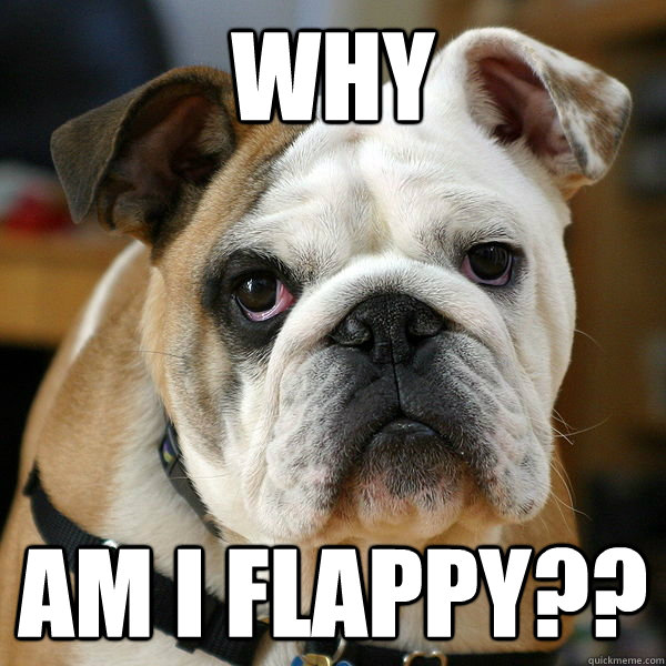 WHY AM I FLAPPY?? - WHY AM I FLAPPY??  Unhappy Bulldog