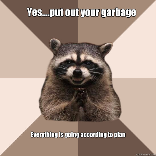 Yes....put out your garbage Everything is going according to plan  Evil Plotting Raccoon