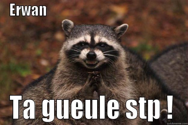 ERWAN                                                   TA GUEULE STP ! Evil Plotting Raccoon