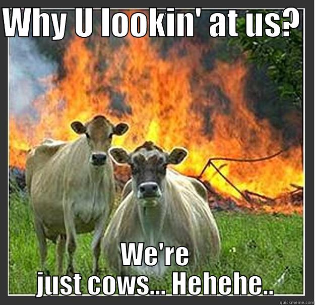 WHY U LOOKIN' AT US?   WE'RE JUST COWS... HEHEHE.. Evil cows