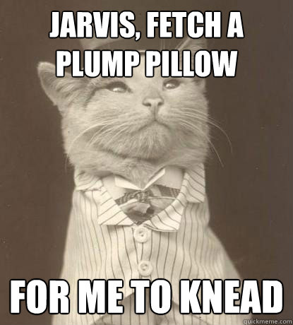 Jarvis, Fetch a plump pillow for me to knead  Aristocat