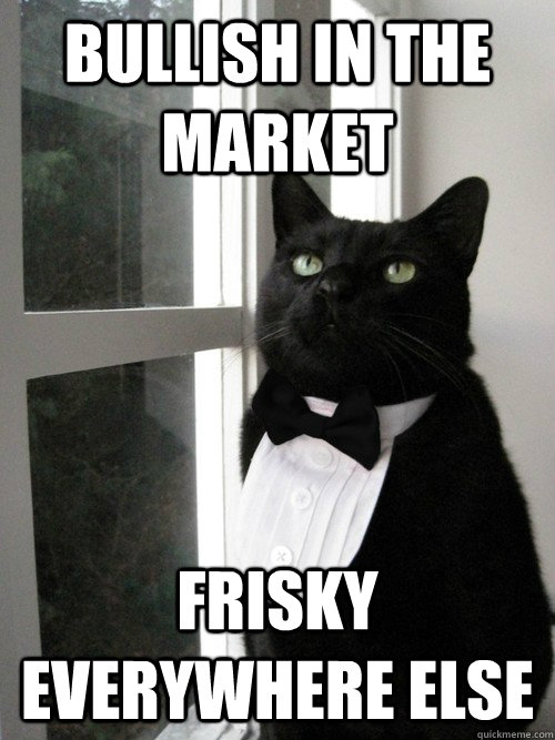 bullish in the market frisky everywhere else  One Percent Cat