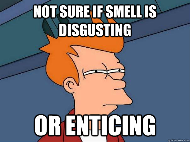 Not sure if smell is disgusting or enticing - Not sure if smell is disgusting or enticing  Futurama Fry