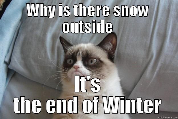 WHY IS THERE SNOW OUTSIDE IT'S THE END OF WINTER Grumpy Cat