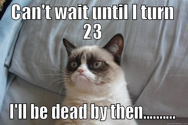 CAN'T WAIT UNTIL I TURN 23 I'LL BE DEAD BY THEN.......... Grumpy Cat