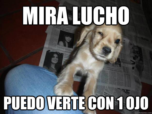 mira lucho puedo verte con 1 ojo  