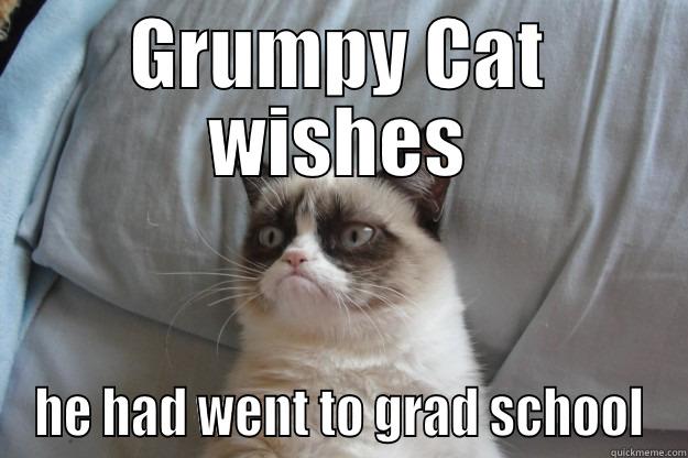 GRUMPY CAT WISHES HE HAD WENT TO GRAD SCHOOL Grumpy Cat