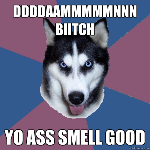 DDDDAAMMMMMNNN BIITCH YO ASS SMELL GOOD  Creeper Canine