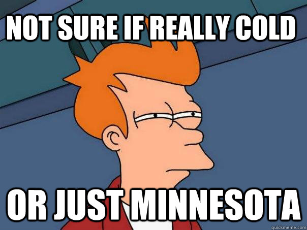 Not sure if really cold Or just Minnesota  Futurama Fry