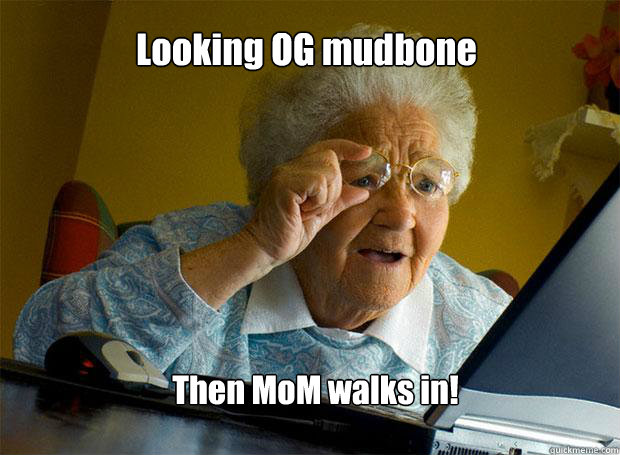 Looking OG mudbone Then MoM walks in!  Grandma finds the Internet