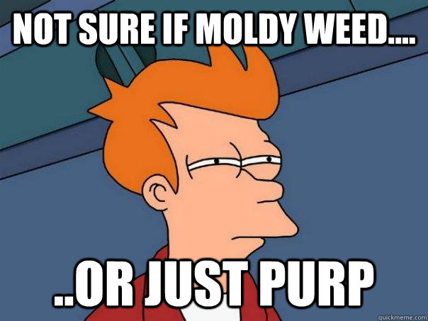 Not sure if moldy weed.... ..Or just purp - Not sure if moldy weed.... ..Or just purp  Futurama Fry