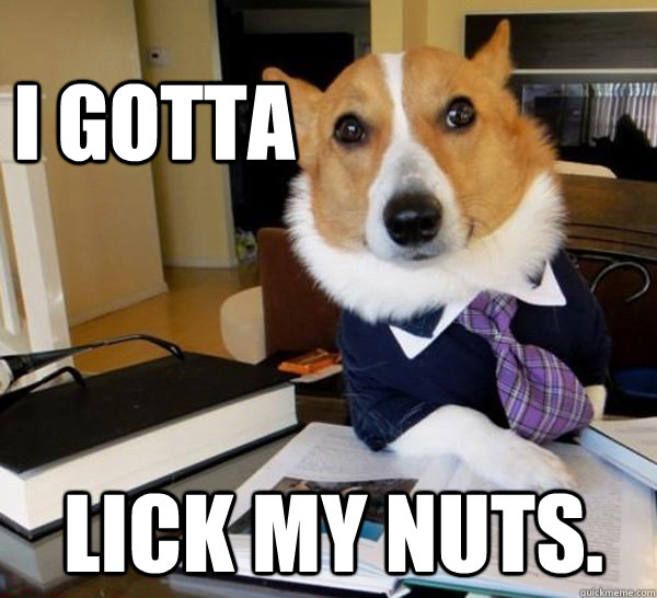 I gotta Lick my nuts.  Lawyer Dog