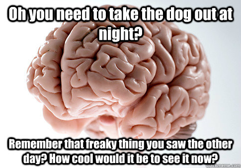 Oh you need to take the dog out at night? Remember that freaky thing you saw the other day? How cool would it be to see it now?  - Oh you need to take the dog out at night? Remember that freaky thing you saw the other day? How cool would it be to see it now?   Scumbag Brain