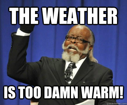 The Weather Is Too Damn Warm! - The Weather Is Too Damn Warm!  Too Damn High