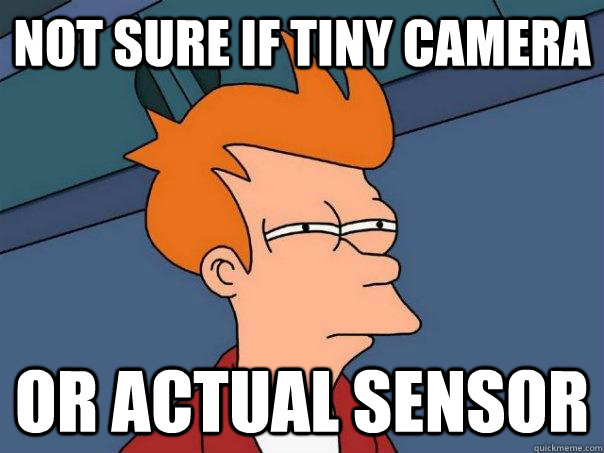 not sure if tiny camera or actual sensor  Futurama Fry