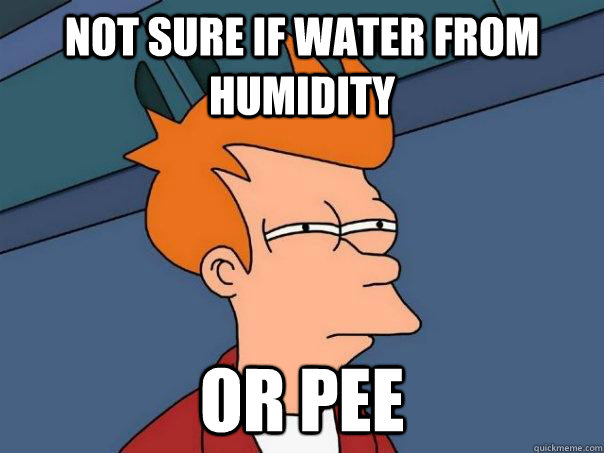 Not sure if water from humidity or pee  Futurama Fry