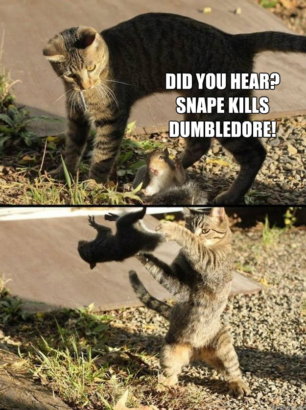 Did you Hear? Snape Kills Dumbledore!  