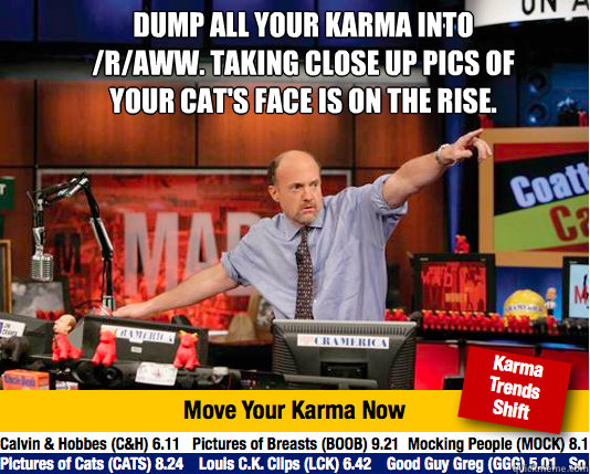 DUMP ALL YOUR KARMA INTO /R/AWW. TAKING CLOSE UP PICS OF YOUR CAT'S FACE IS ON THE RISE.  Mad Karma with Jim Cramer