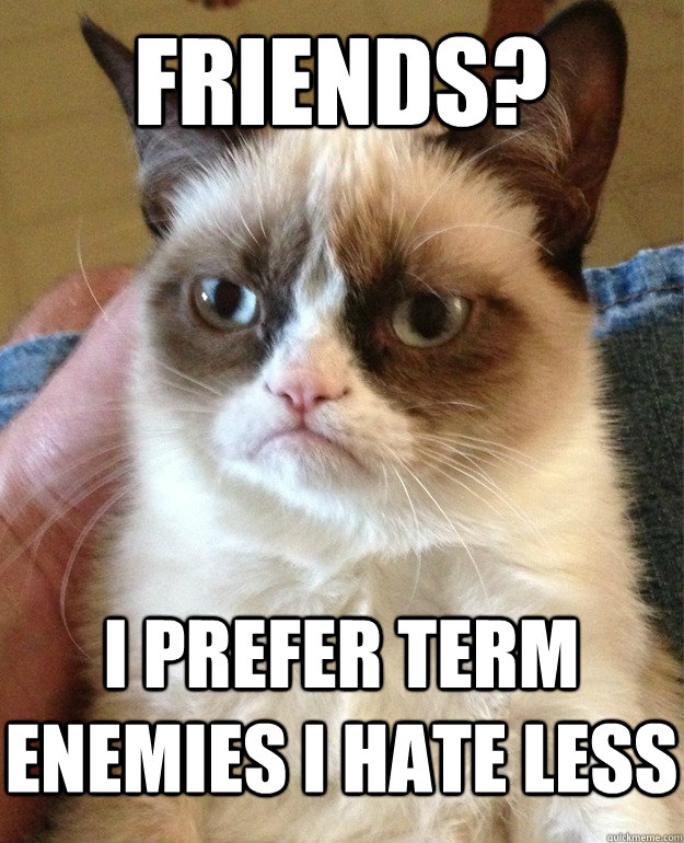 Friends? i prefer term enemies i hate less  Grumpy Cat