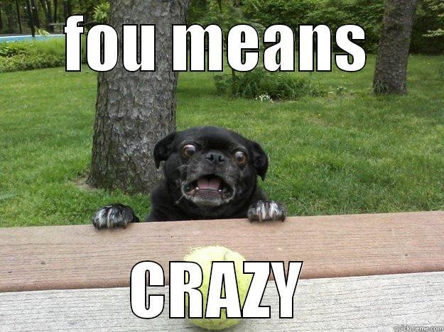 FOU MEANS CRAZY Berks Dog