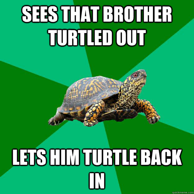 sees that brother turtled out lets him turtle back in  Torrenting Turtle