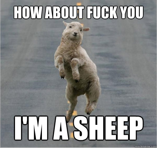 How about fuck you I'm a sheep
  - How about fuck you I'm a sheep
   Dancing Sheep