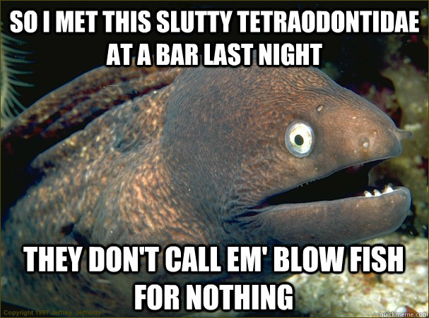 So i met this slutty Tetraodontidae at a bar last night They don't call em' blow fish for nothing  Bad Joke Eel