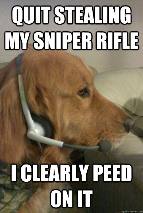 Quit stealing my sniper rifle I clearly peed on it  Xbox Live Dog