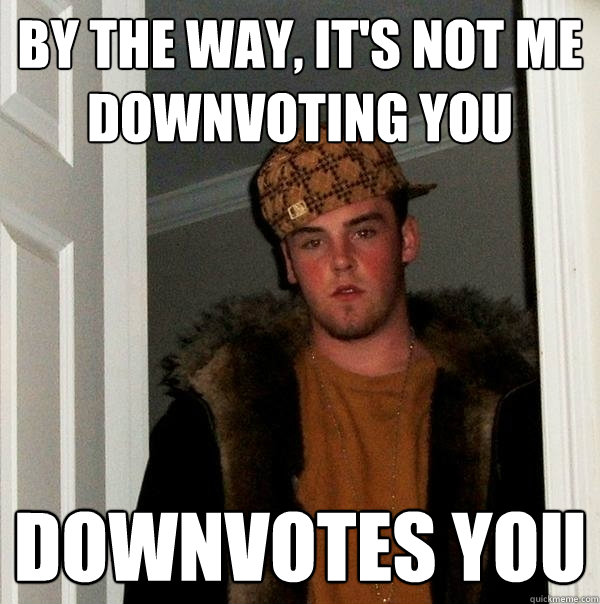 By the way, It's not me downvoting you Downvotes you  Scumbag Steve