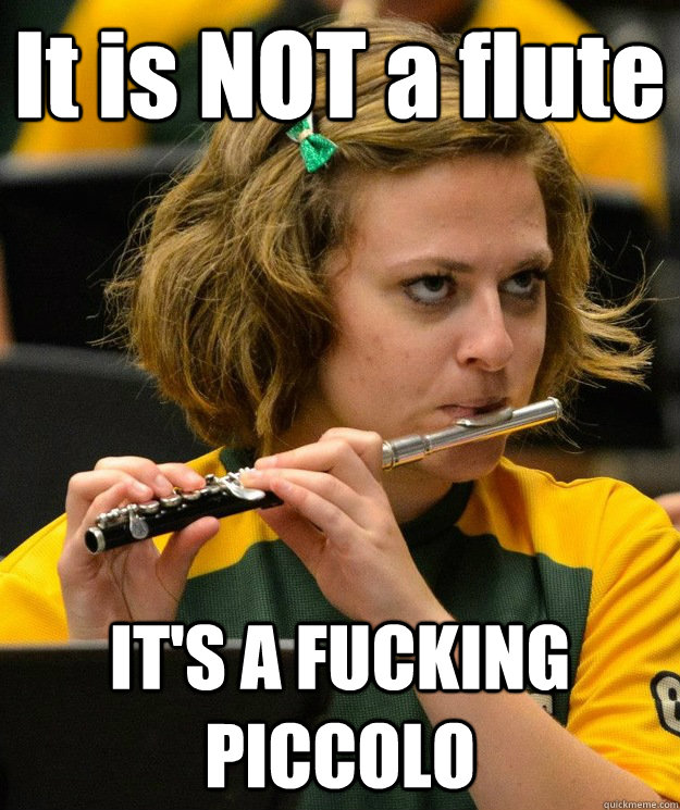 It is NOT a flute IT'S A FUCKING PICCOLO - It is NOT a flute IT'S A FUCKING PICCOLO  Misc