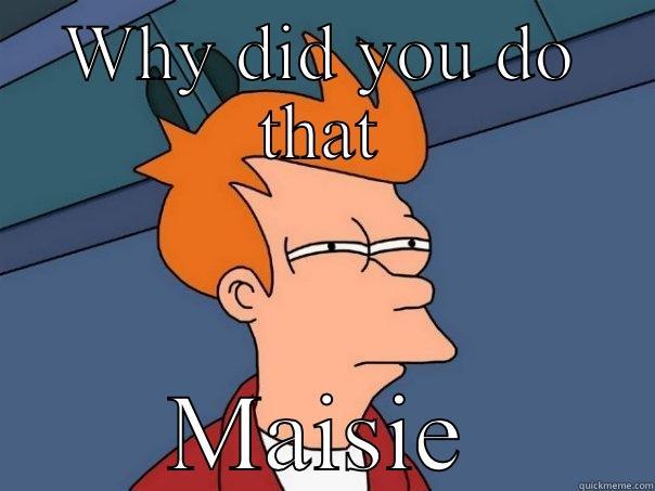 WHY DID YOU DO THAT MAISIE Futurama Fry