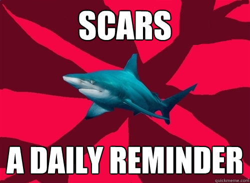 scars a daily reminder  Self-Injury Shark