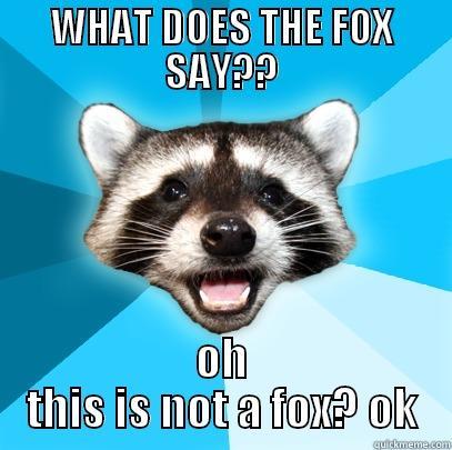 What does the fox say? oh this is not a fox? ok - WHAT DOES THE FOX SAY?? OH THIS IS NOT A FOX? OK Lame Pun Coon