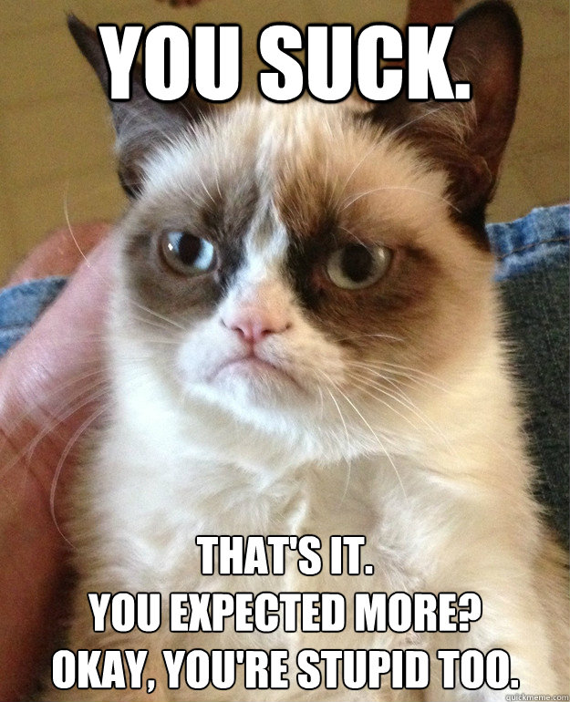 You Suck. That's it.
You expected more?
Okay, you're stupid too.  Grumpy Cat